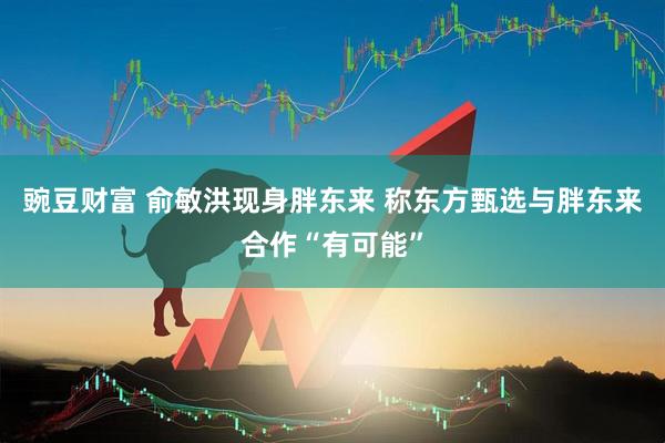 豌豆财富 俞敏洪现身胖东来 称东方甄选与胖东来合作“有可能”