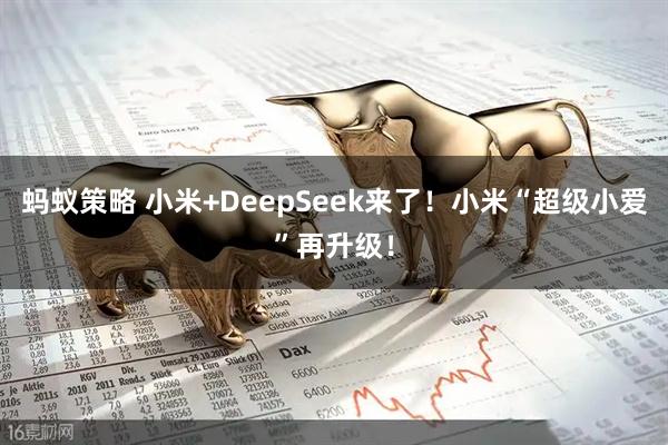 蚂蚁策略 小米+DeepSeek来了！小米“超级小爱”再升级！