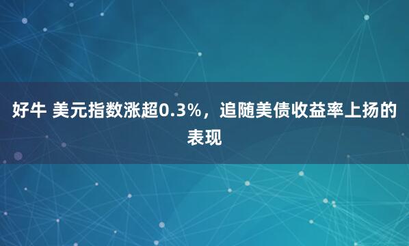 好牛 美元指数涨超0.3%，追随美债收益率上扬的表现