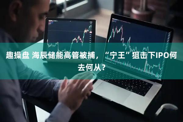 趣操盘 海辰储能高管被捕，“宁王”狙击下IPO何去何从？
