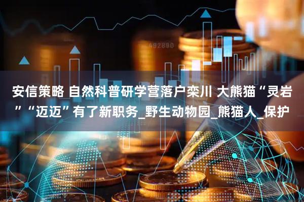 安信策略 自然科普研学营落户栾川 大熊猫“灵岩”“迈迈”有了新职务_野生动物园_熊猫人_保护