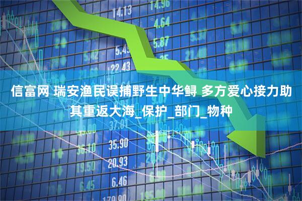 信富网 瑞安渔民误捕野生中华鲟 多方爱心接力助其重返大海_保护_部门_物种