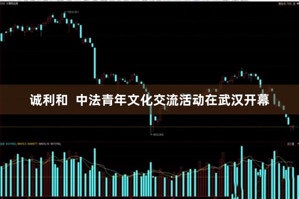 诚利和  中法青年文化交流活动在武汉开幕