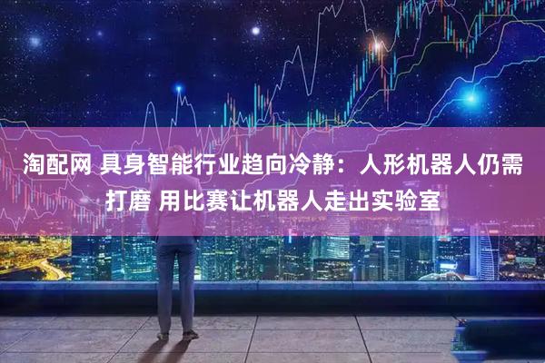淘配网 具身智能行业趋向冷静：人形机器人仍需打磨 用比赛让机器人走出实验室
