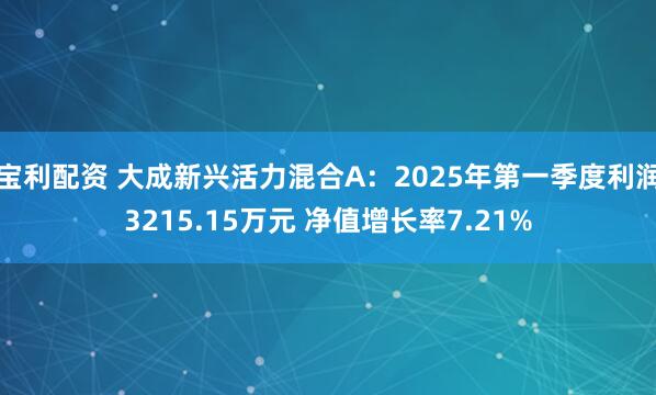 宝利配资 大成新兴活力混合A：2025年第一季度利润3215.15万元 净值增长率7.21%