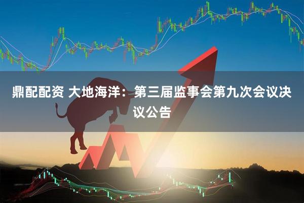 鼎配配资 大地海洋：第三届监事会第九次会议决议公告