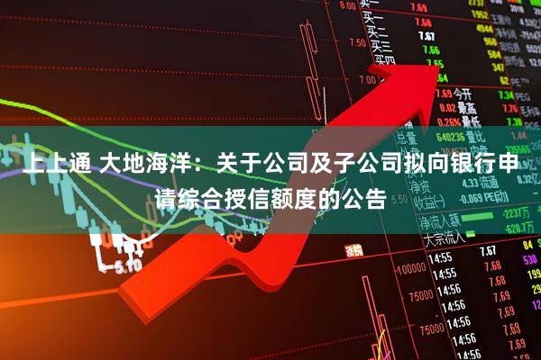 上上通 大地海洋：关于公司及子公司拟向银行申请综合授信额度的公告