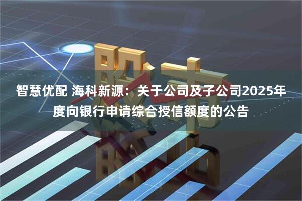 智慧优配 海科新源：关于公司及子公司2025年度向银行申请综合授信额度的公告