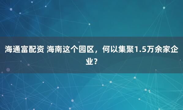 海通富配资 海南这个园区,何以集聚1.5万余家企业?