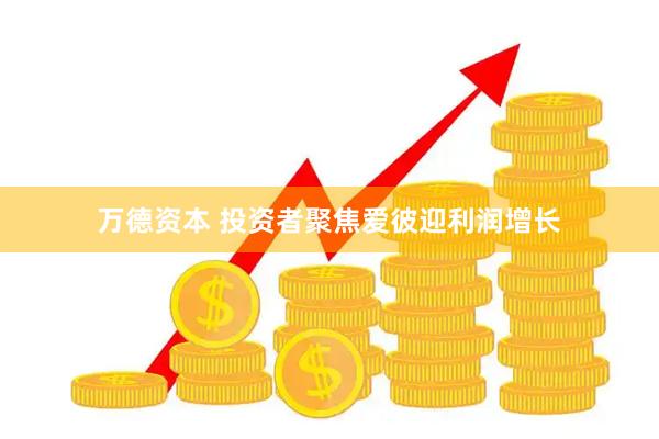 万德资本 投资者聚焦爱彼迎利润增长